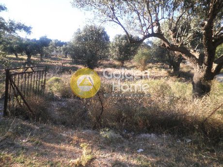 Οικόπεδο 812τ.μ. για πώληση-Γλυκά νερά » Φούρεσι