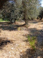 Οικόπεδο 5.743 τ.μ. για πώληση