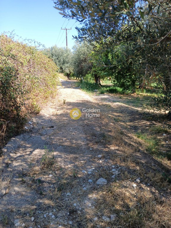 Οικόπεδο 5.743 τ.μ. προς πώληση, Αχαΐα, Ακράτα