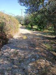 Οικόπεδο 5.743 τ.μ. για πώληση, Αχαΐα, Ακράτα-thumb-1