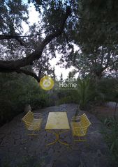 Συγκρότημα διαμερισμάτων 540 τ.μ. για πώληση, Εύβοια, Αιδηψός-thumb-16