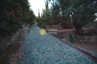 Συγκρότημα διαμερισμάτων 540 τ.μ. για πώληση, Εύβοια, Αιδηψός-thumb-18