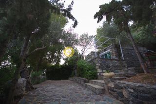 Συγκρότημα διαμερισμάτων 540 τ.μ. για πώληση, Εύβοια, Αιδηψός-thumb-19