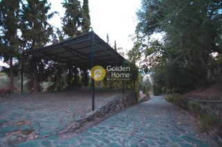 Συγκρότημα διαμερισμάτων 540 τ.μ. για πώληση, Εύβοια, Αιδηψός-thumb-17
