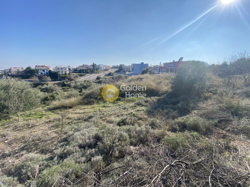 Οικόπεδο 800 τ.μ. πρός πώληση, Εύβοια, Ανθηδώνος