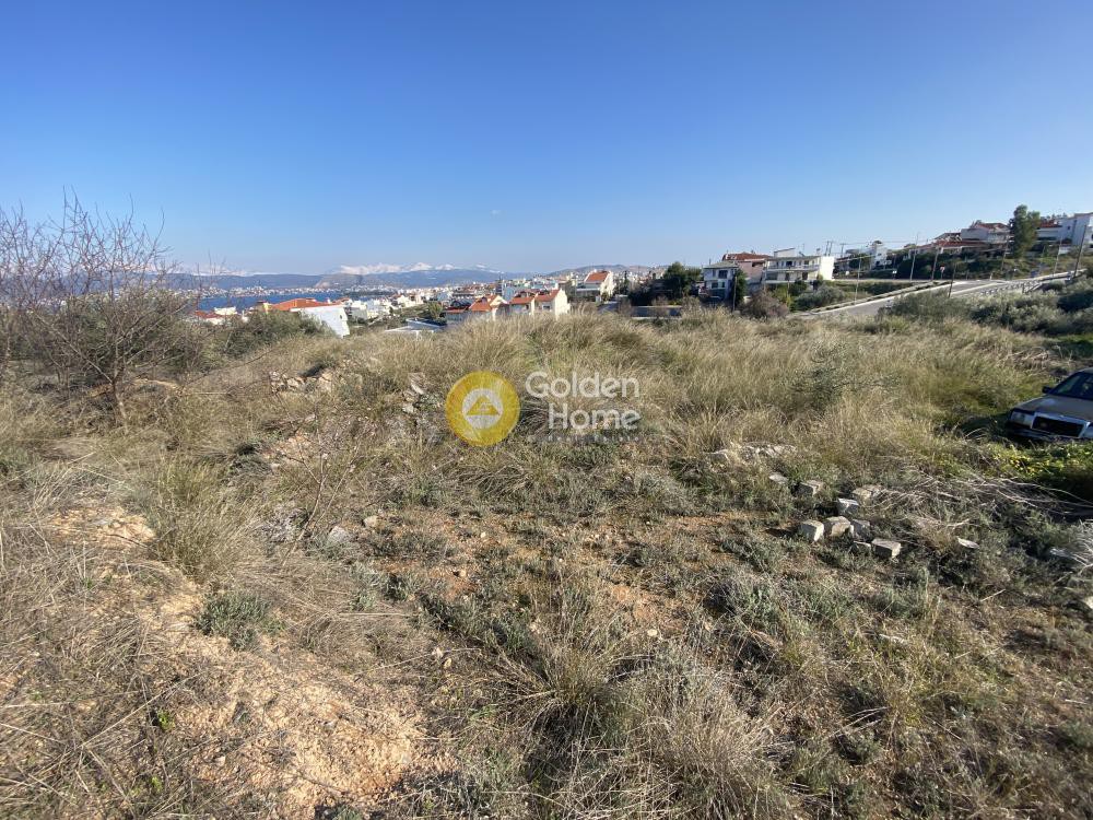 Οικόπεδο 800 τ.μ. πρός πώληση, Εύβοια, Ανθηδώνος