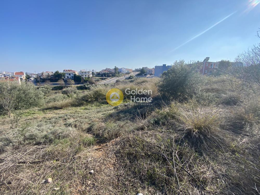 Οικόπεδο 800 τ.μ. πρός πώληση, Εύβοια, Ανθηδώνος