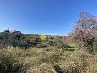 Οικόπεδο 800 τ.μ. προς πώληση, Ροδιές-thumb-13