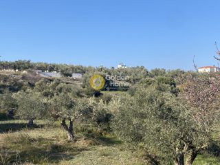 Οικόπεδο 800 τ.μ. προς πώληση, Ροδιές-thumb-14