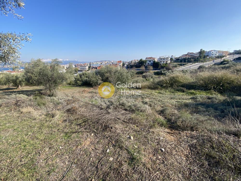 Οικόπεδο 800 τ.μ. πρός πώληση, Εύβοια, Ανθηδώνος