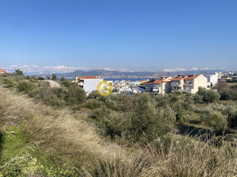 Οικόπεδο 800 τ.μ. πρός πώληση, Εύβοια, Ανθηδώνος