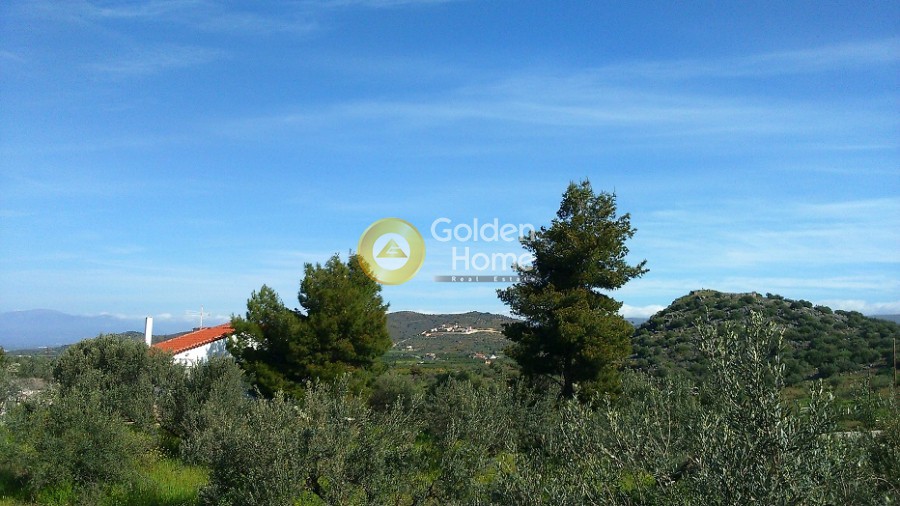 Οικόπεδο 4.000 τ.μ. πρός πώληση, Αργολίδα, Νέα Τίρυνθα