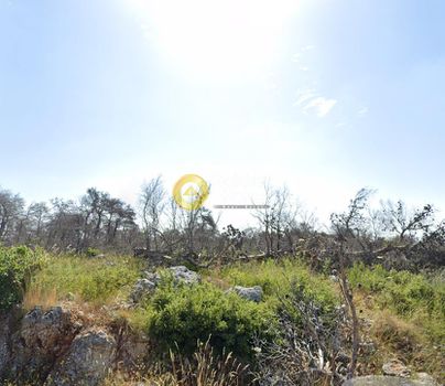 Land plot 2.180sqm for sale-Afidnes » Agia Triada