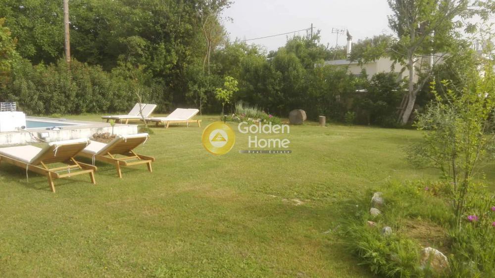 Συγκρότημα διαμερισμάτων 243 τ.μ. πρός πώληση, Μαγνησία, Αργαλαστή