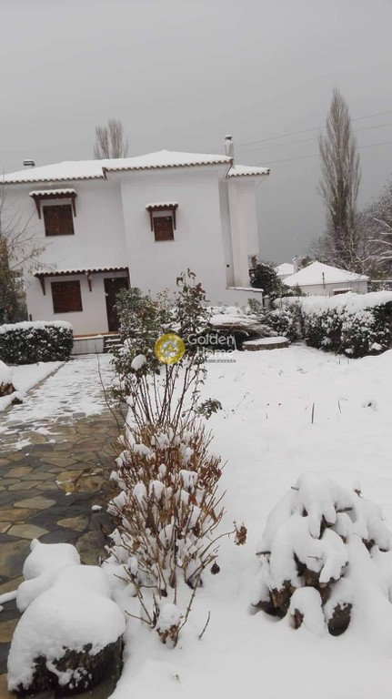 Συγκρότημα διαμερισμάτων 243 τ.μ. πρός πώληση, Μαγνησία, Αργαλαστή