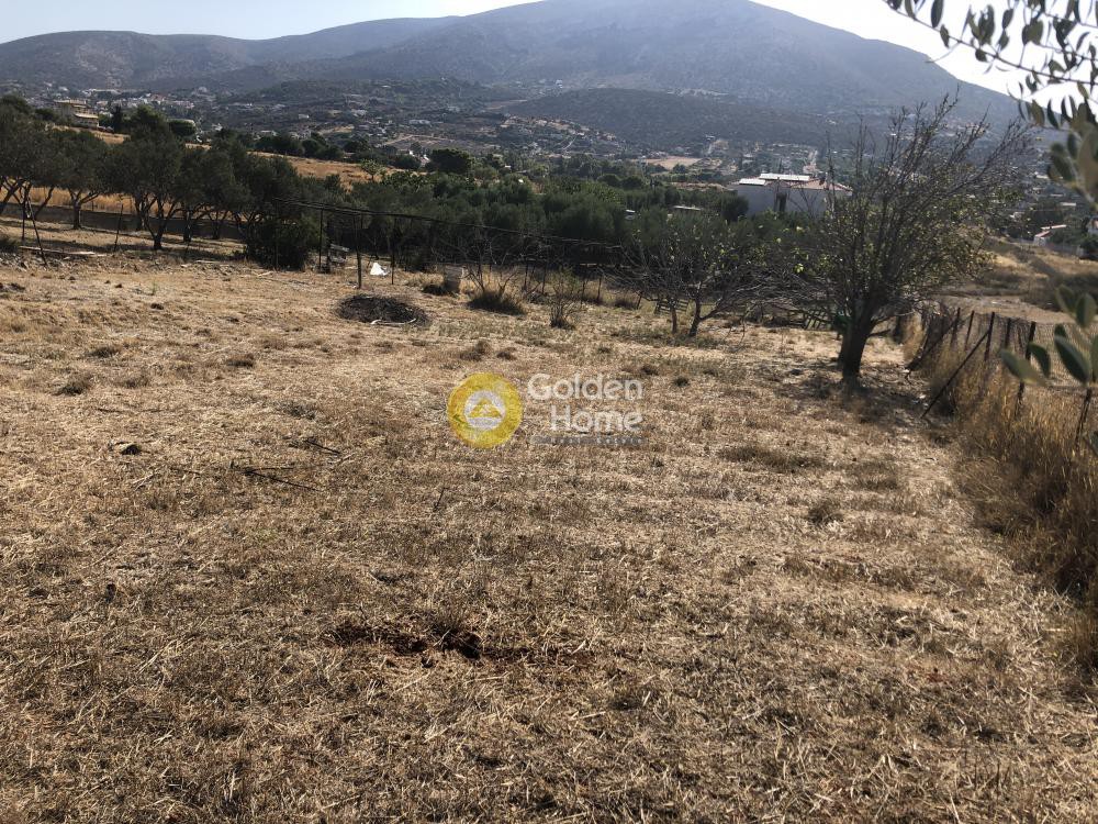 Αγροτεμάχια 800 τ.μ. προς πώληση, Λαγονήσι