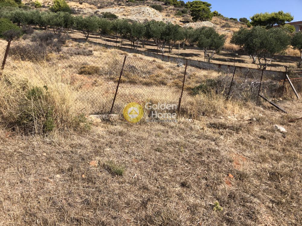 Αγροτεμάχια 800 τ.μ. προς πώληση, Λαγονήσι