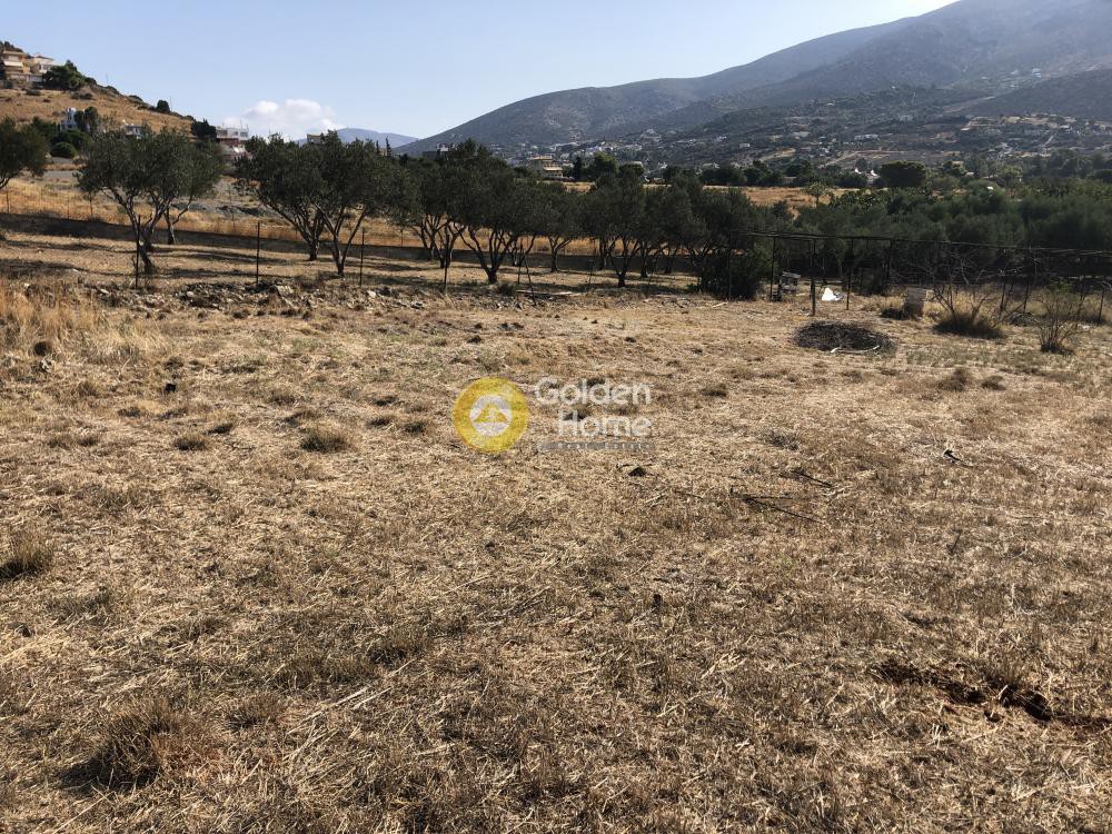 Αγροτεμάχια 800 τ.μ. προς πώληση, Λαγονήσι