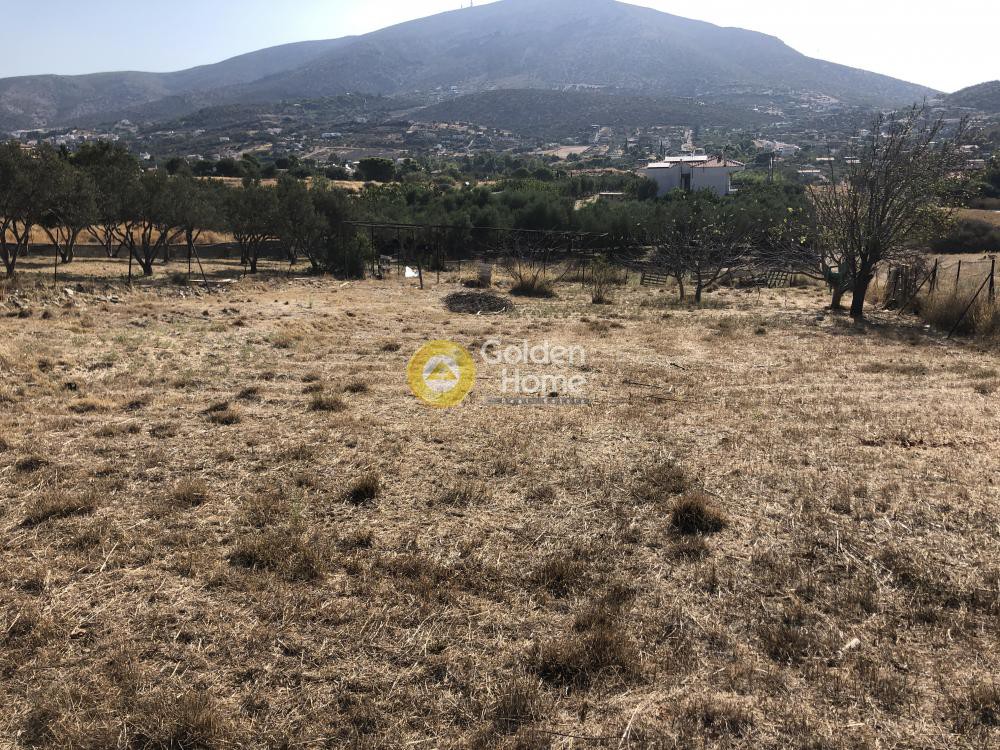 Αγροτεμάχια 800 τ.μ. προς πώληση, Λαγονήσι