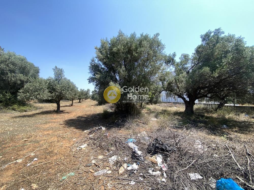 Αγροτεμάχια 6.300 τ.μ. προς πώληση, ΒΙΟ.ΠΑ. Παιανίας