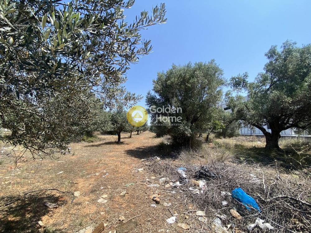 Αγροτεμάχια 6.300 τ.μ. προς πώληση, ΒΙΟ.ΠΑ. Παιανίας