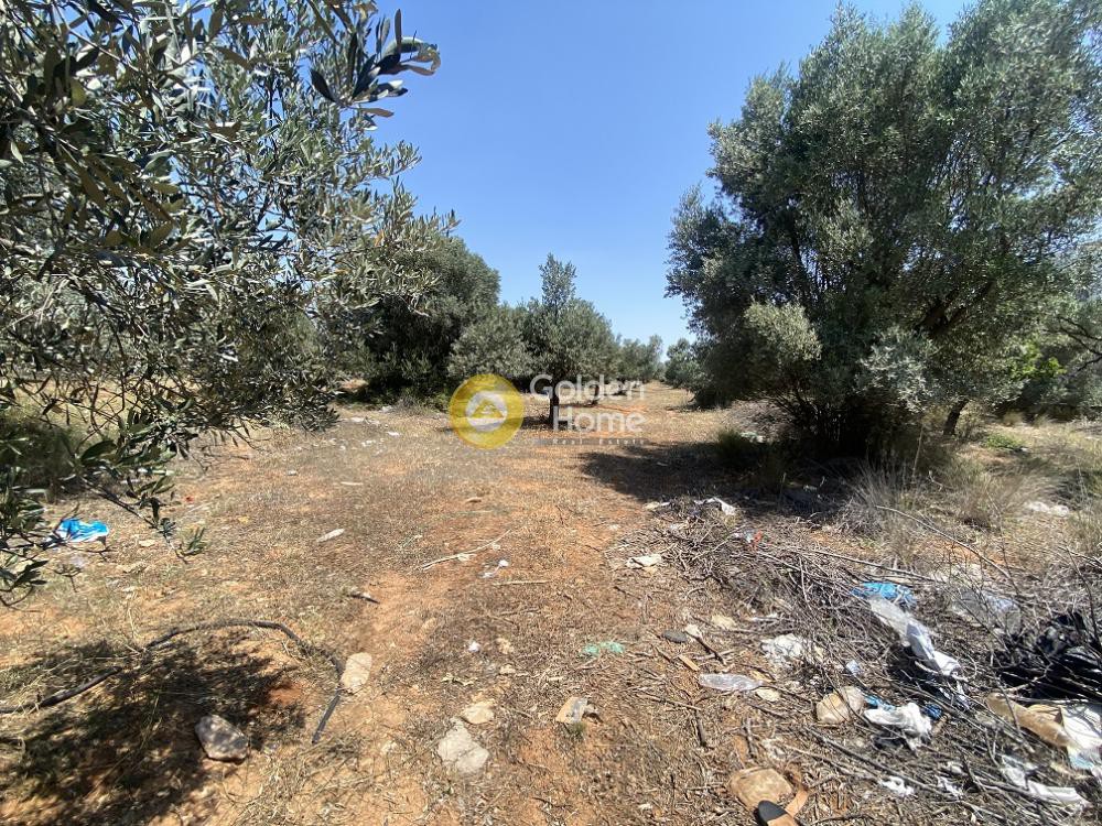 Αγροτεμάχια 6.300 τ.μ. προς πώληση, ΒΙΟ.ΠΑ. Παιανίας