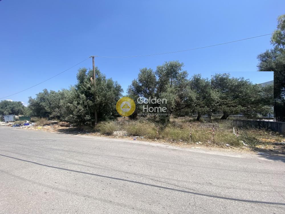 Αγροτεμάχια 6.300 τ.μ. προς πώληση, ΒΙΟ.ΠΑ. Παιανίας