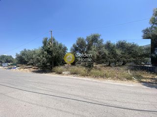 Αγροτεμάχια 6.300 τ.μ. για πώληση
