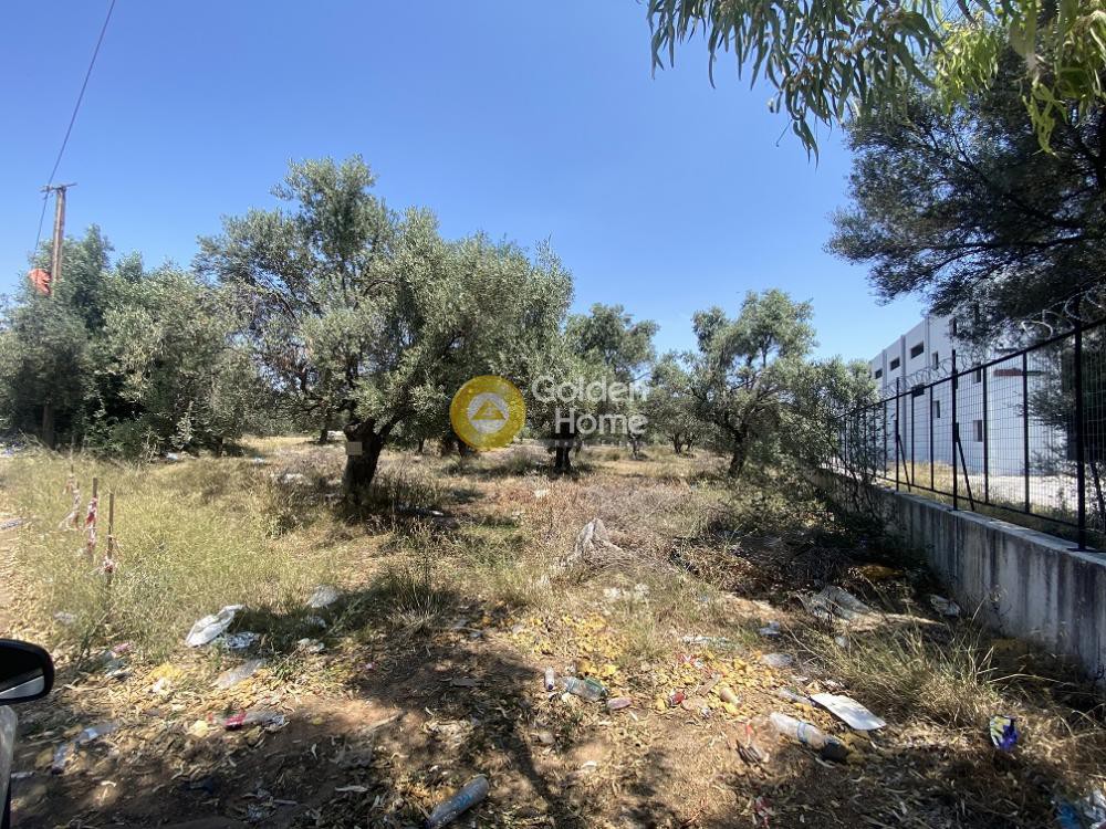 Αγροτεμάχια 6.300 τ.μ. προς πώληση, ΒΙΟ.ΠΑ. Παιανίας