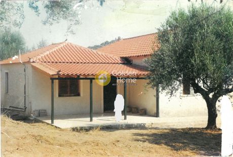 Μονοκατοικία 118τ.μ. για πώληση-Γύθειο » Βαθύ