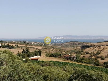 Μονοκατοικία 700 τ.μ. για πώληση