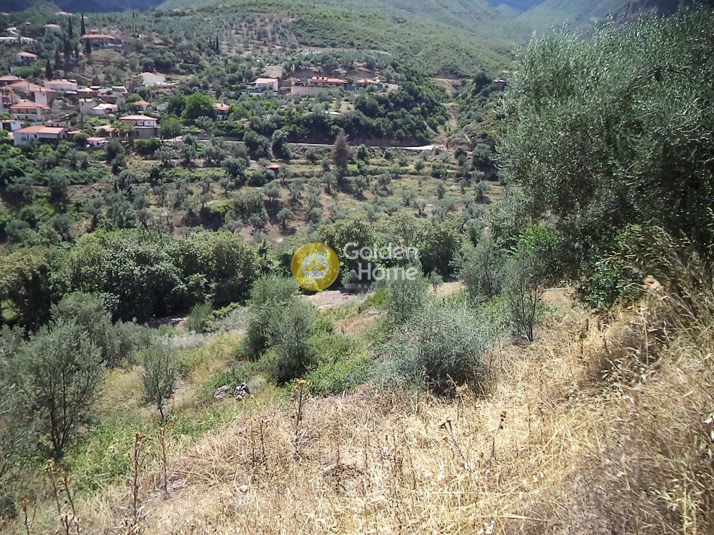Αγροτεμάχια 22.000 τ.μ. προς πώληση, Κάτω Φτέρη