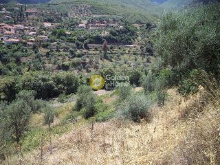 Αγροτεμάχια 22.000 τ.μ. για πώληση, Αχαΐα, Αίγιο-thumb-1