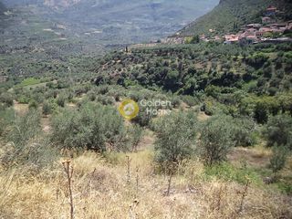 Αγροτεμάχια 22.000 τ.μ. για πώληση, Αχαΐα, Αίγιο-thumb-3
