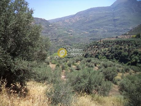 Αγροτεμάχια 22.000τ.μ. για πώληση-Αίγιο » Κάτω φτέρη