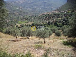 Αγροτεμάχια 22.000 τ.μ. για πώληση, Αχαΐα, Αίγιο-thumb-4