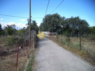 Οικόπεδο 1.200 τ.μ. πρός πώληση, Αχαΐα, Αίγιο-thumb-2