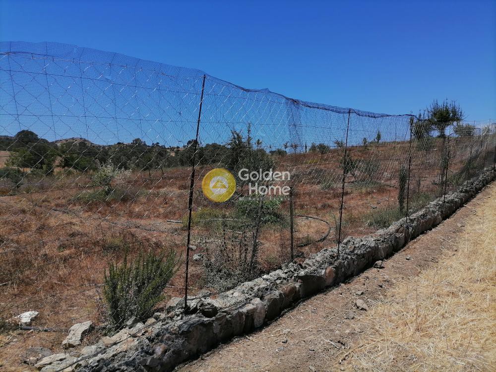 Οικόπεδο 6.814 τ.μ. πρός πώληση, Ν. Ηρακλείου, Τυμπάκι