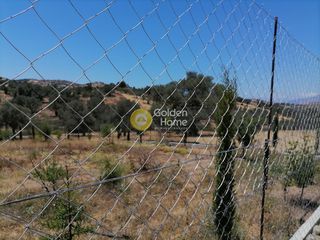 Οικόπεδο 6.814 τ.μ. πρός πώληση, Ν. Ηρακλείου, Τυμπάκι-thumb-18