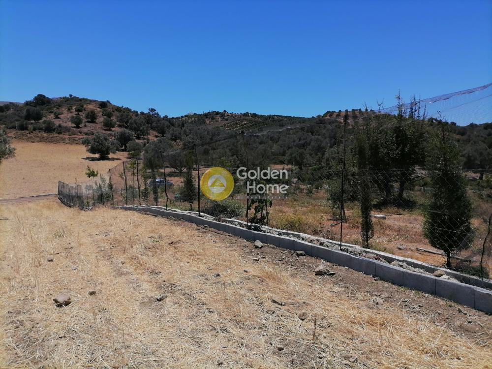 Οικόπεδο 6.814 τ.μ. πρός πώληση, Ν. Ηρακλείου, Τυμπάκι
