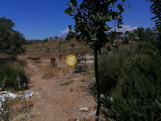 Οικόπεδο 6.814 τ.μ. πρός πώληση, Ν. Ηρακλείου, Τυμπάκι-thumb-11