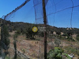 Οικόπεδο 6.814 τ.μ. πρός πώληση, Ν. Ηρακλείου, Τυμπάκι-thumb-14
