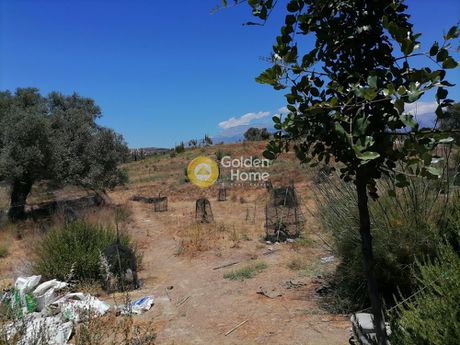 Οικόπεδο 6.814τ.μ. για πώληση-Τυμπάκι » Σίβας