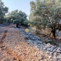 Αγροτεμάχια 7.313 τ.μ. πρός πώληση, Ν. Λευκάδας, Μεγανήσι-thumb-14