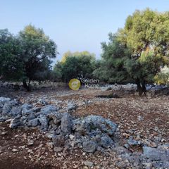 Αγροτεμάχια 7.313 τ.μ. πρός πώληση, Ν. Λευκάδας, Μεγανήσι-thumb-5