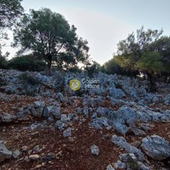 Αγροτεμάχια 7.313 τ.μ. πρός πώληση, Ν. Λευκάδας, Μεγανήσι-thumb-8
