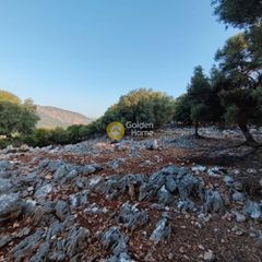 Αγροτεμάχια 7.313 τ.μ. πρός πώληση, Ν. Λευκάδας, Μεγανήσι-thumb-13