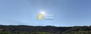Αγροτεμάχια 7.313 τ.μ. πρός πώληση, Ν. Λευκάδας, Μεγανήσι-thumb-20