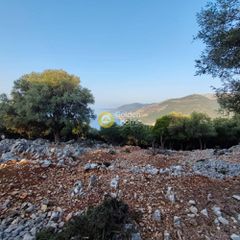 Αγροτεμάχια 7.313 τ.μ. πρός πώληση, Ν. Λευκάδας, Μεγανήσι-thumb-15
