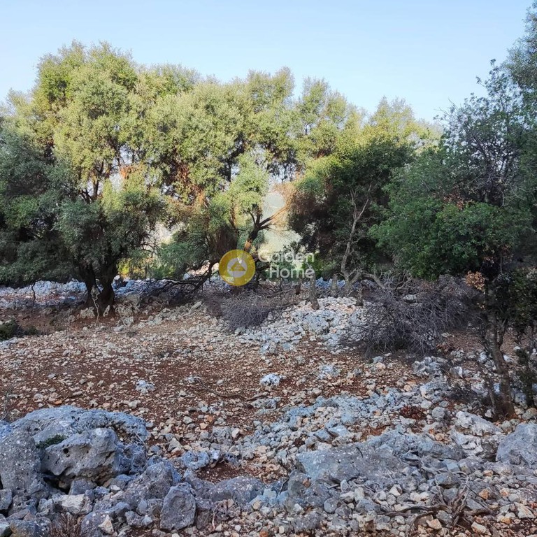 Αγροτεμάχια 7.313 τ.μ. πρός πώληση, Ν. Λευκάδας, Μεγανήσι